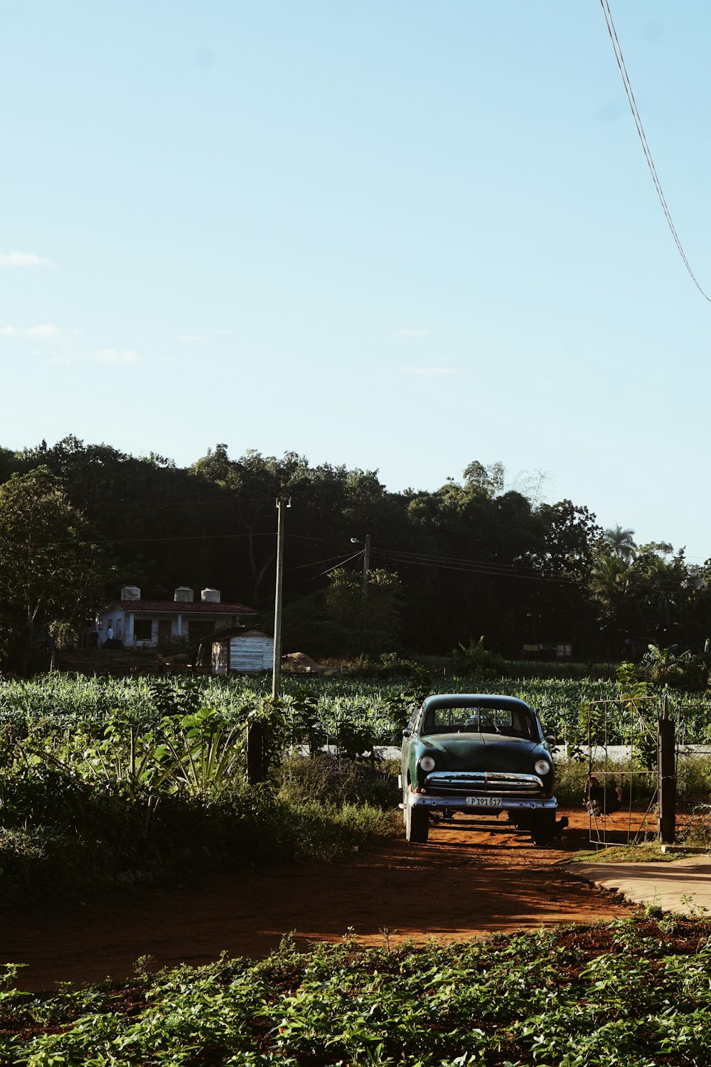 Coche blanco en el camino de tierra cerca de los árboles verdes durante el día