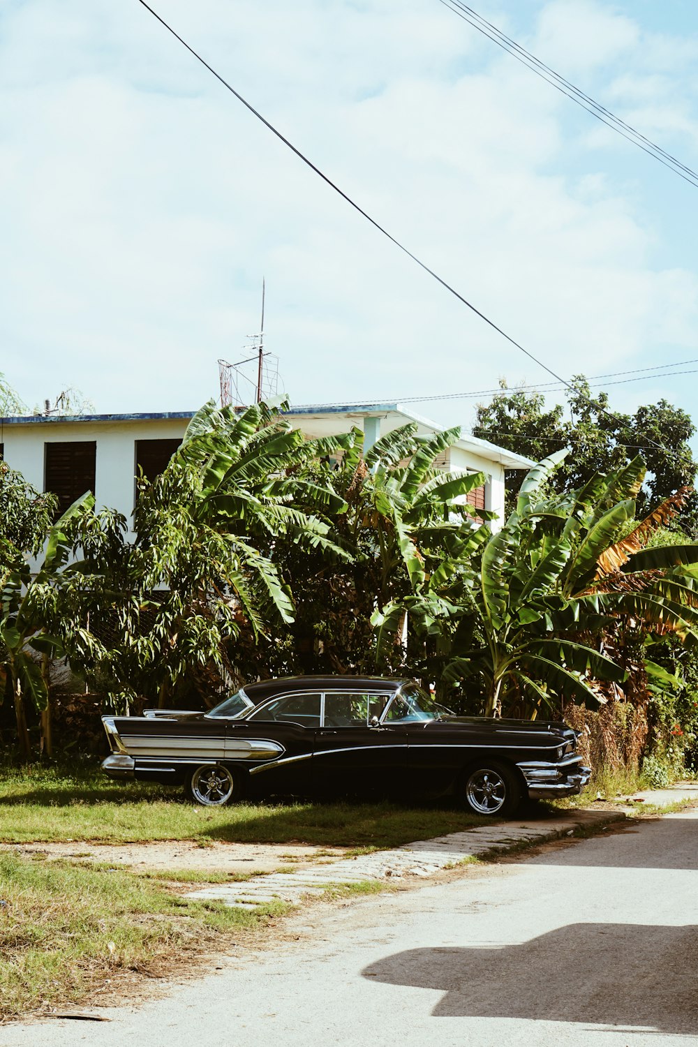 black coupe parked beside green tree during daytime