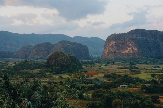 green trees and brown mountains under white clouds and blue sky during daytime in Viñales Valley Cuba