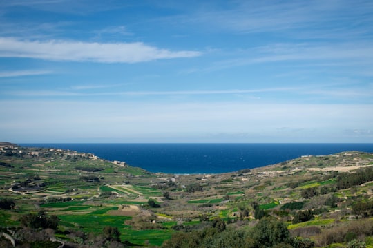 green grass field near body of water under blue sky during daytime in Gozo Malta