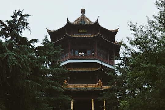 Dr. Sun Yat-sen's Mausoleum things to do in Nanjing