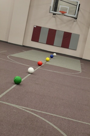 A gymnasium featuring a basketball hoop on the wall and six colorful balls aligned on the floor, including green, white, red, yellow, blue, and another white ball. The walls are padded and there is a maroon and grey padding underneath the hoop.