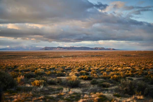Desaturated landscape of the Patagonian steppe with soft natural light