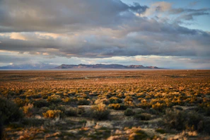 Wide shot of the Patagonian steppe with soft, desaturated colors emphasizing the open space