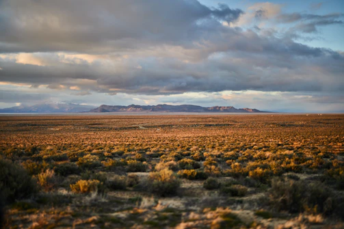 Desaturated landscape of the Patagonian steppe with soft natural light
