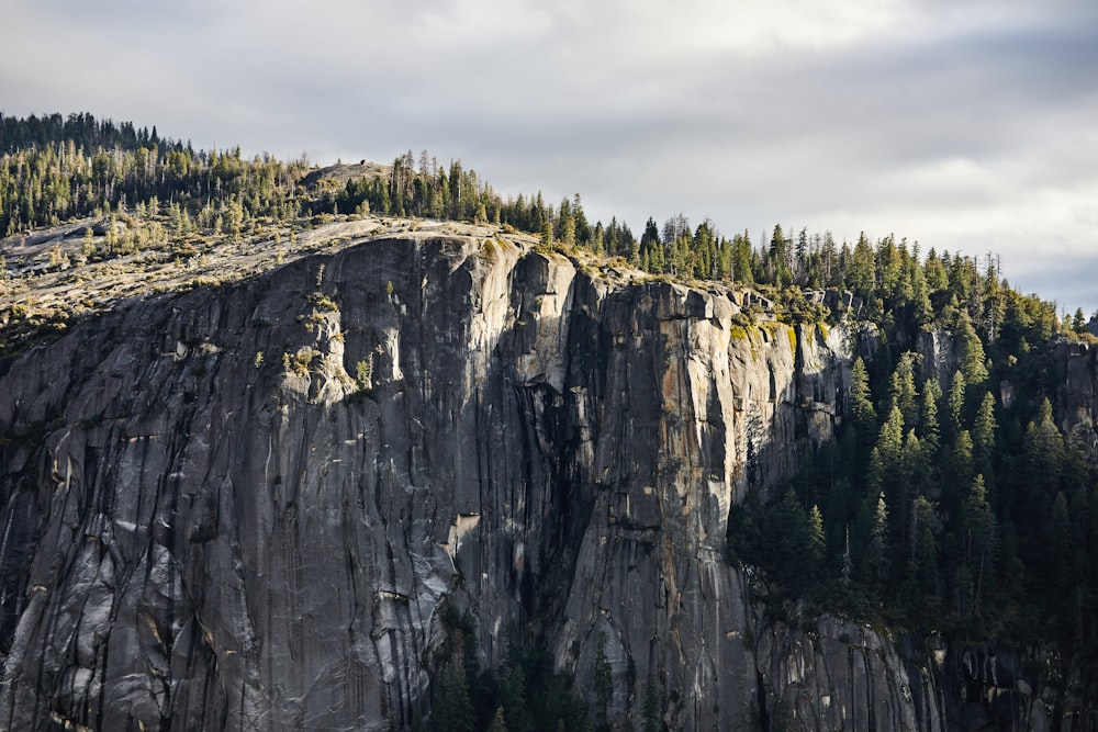 green trees on rocky mountain under cloudy sky during daytime