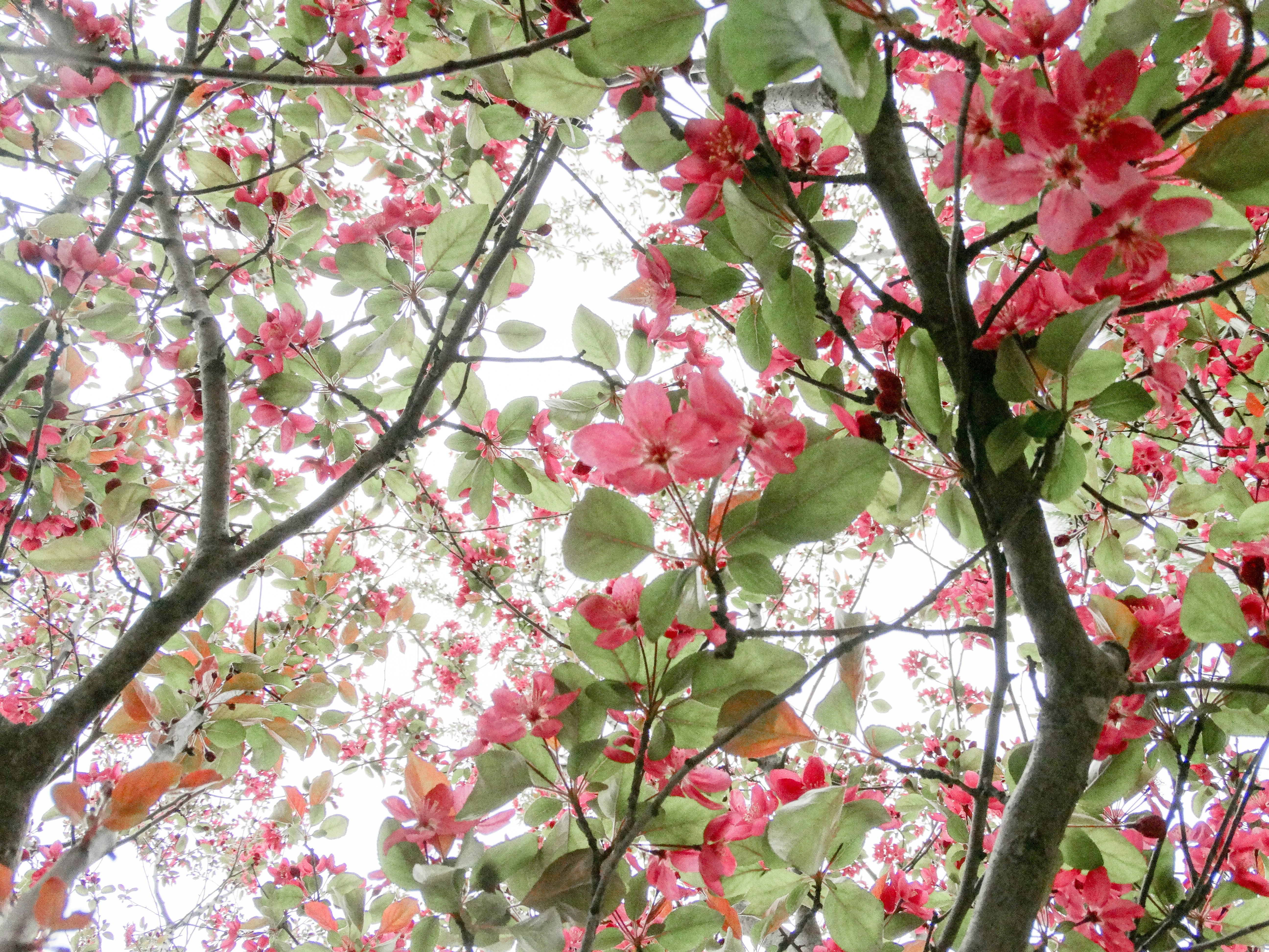 Photo by joyfulcaptures