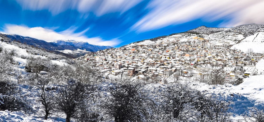 white and brown houses on snow covered ground under blue sky during daytime