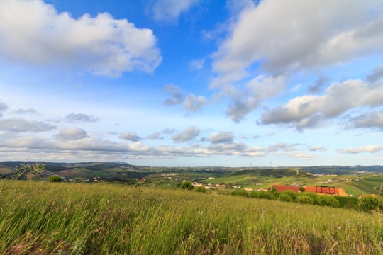 green grass field under blue sky and white clouds during daytime in Torres Vedras Portugal