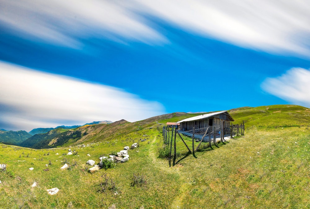 green grass field under blue sky during daytime