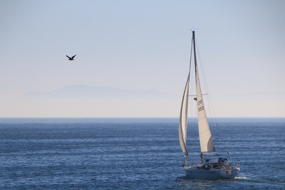 sailboat on sea during daytime