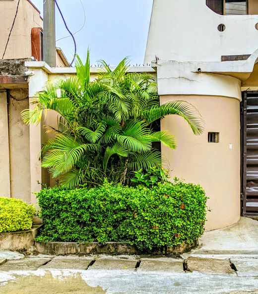 Palm trees beside a concrete home in Lagos, Nigeria