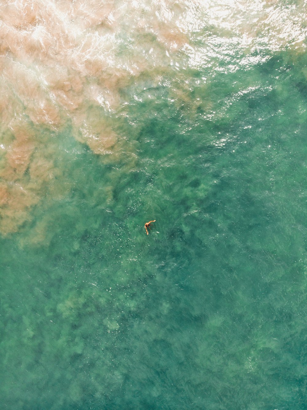 Persona nadando en un cuerpo de agua durante el día