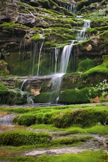water falls in the middle of green grass field