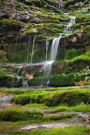 water falls in the middle of green grass field