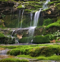 water falls in the middle of green grass field