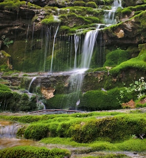 water falls in the middle of green grass field