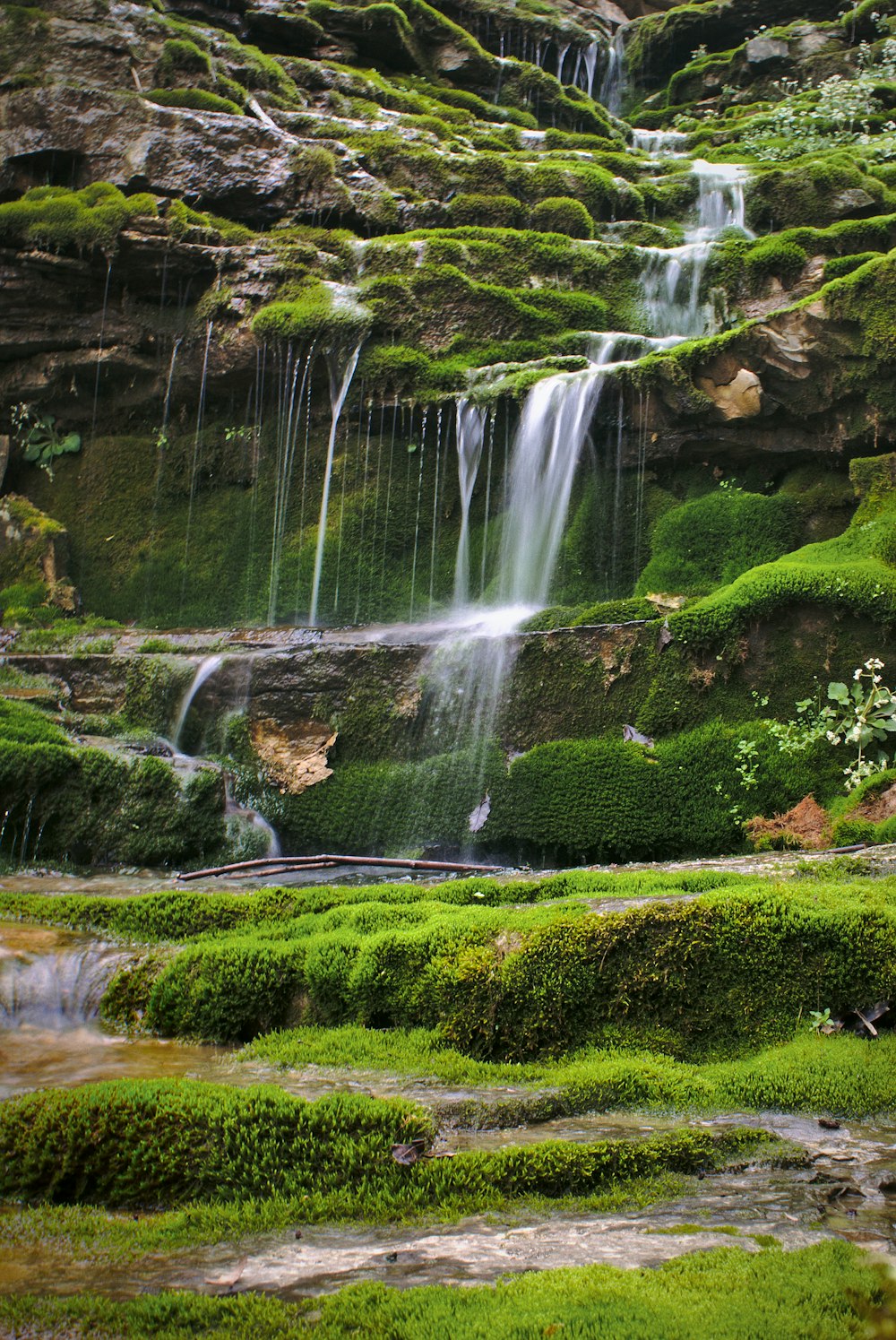 water falls in the middle of green grass field