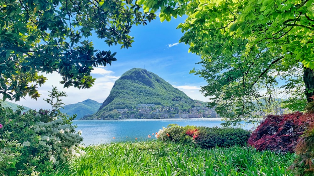 昼間の青空の下、湖と山の近くの緑の木