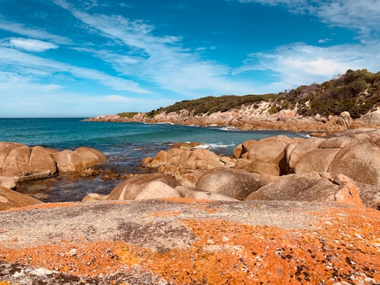 brown rocks on seashore under blue sky during daytime in King Island Australia