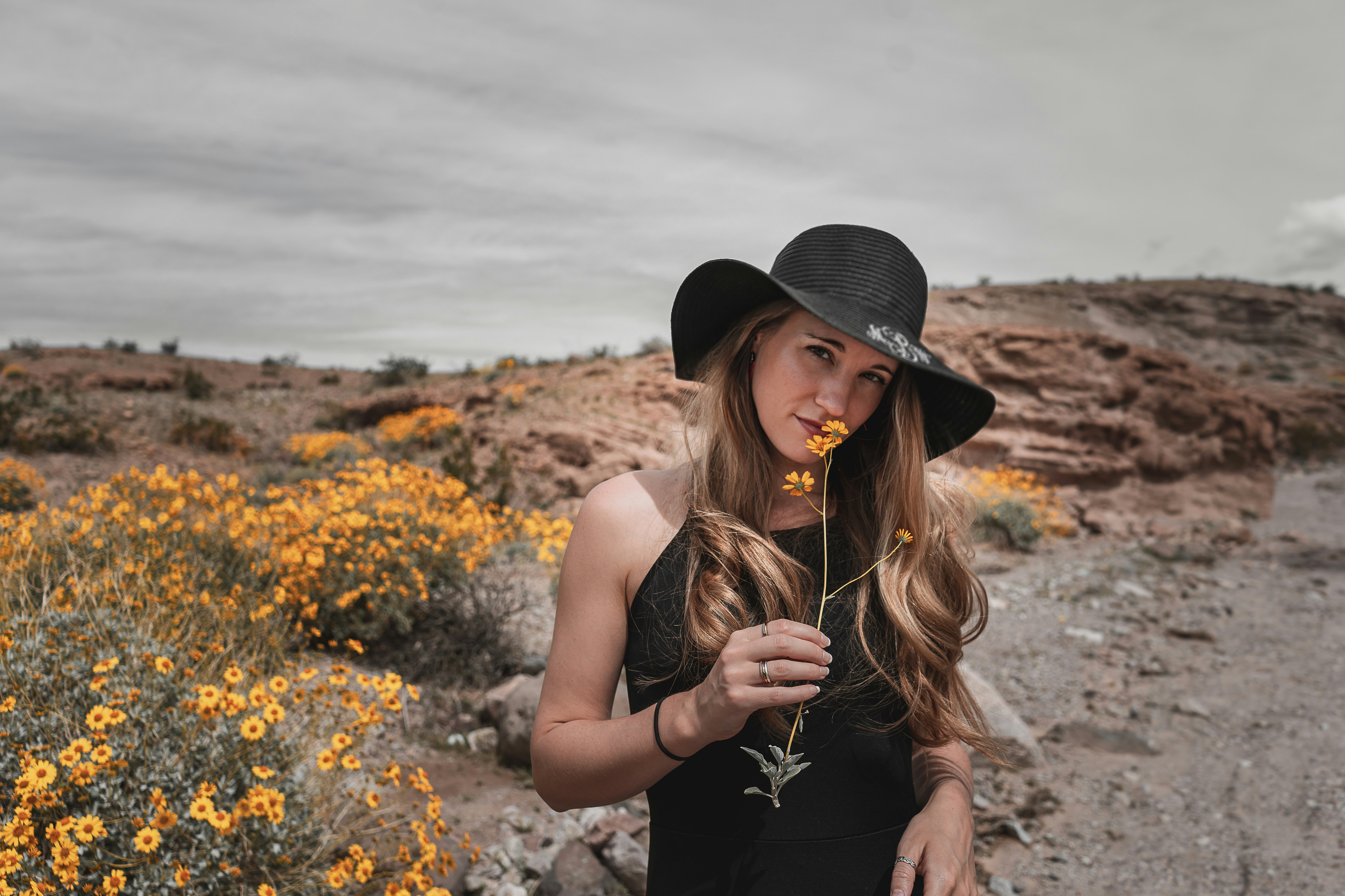 Desert Beauty