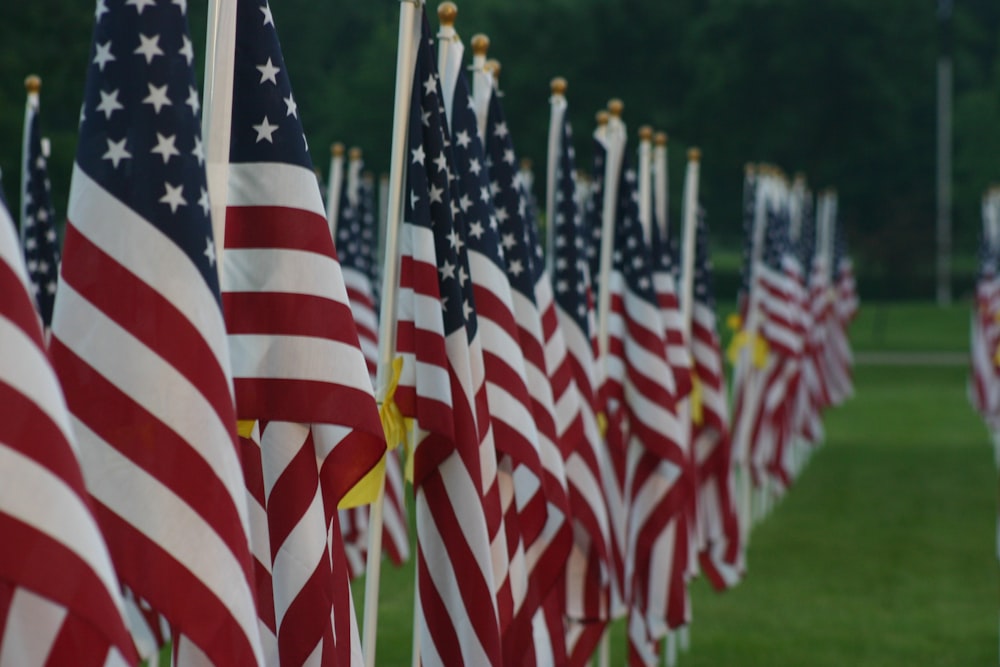 us a flags on green grass field during daytime