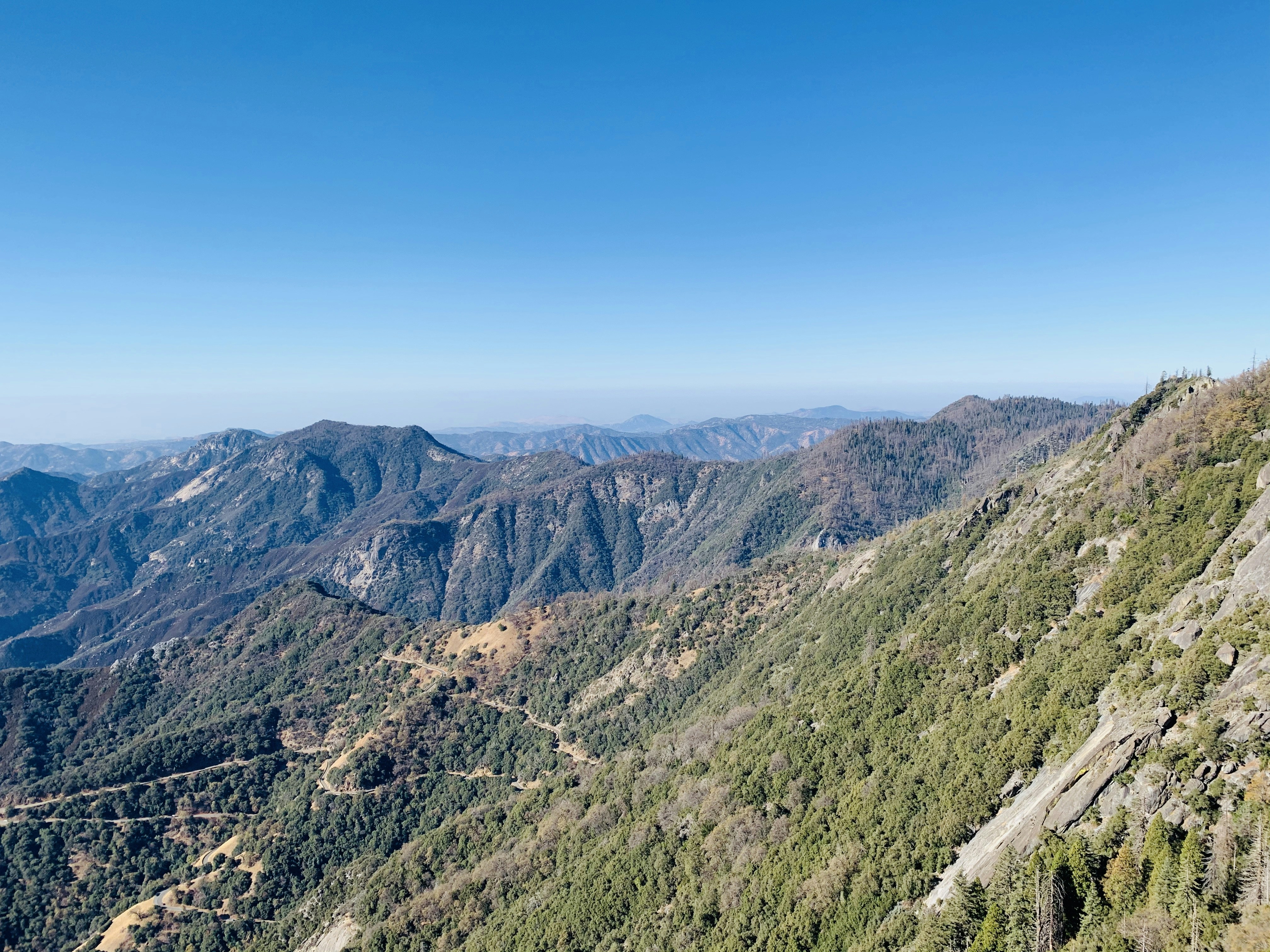 Photo by cameronchey