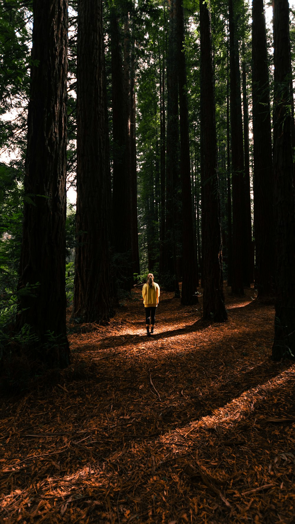 woman in brown dress walking on forest during daytime