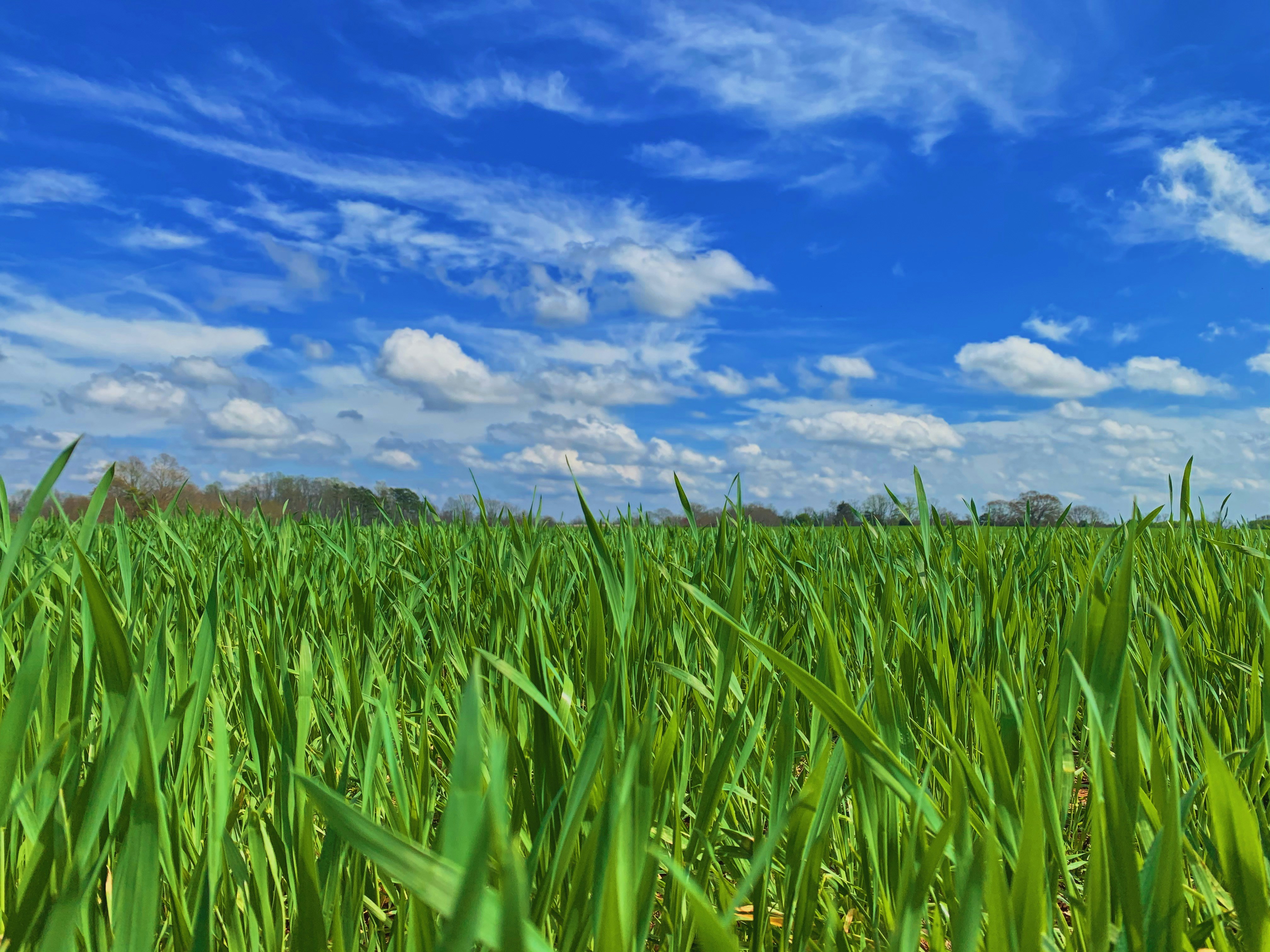 Photo by caseycalhoun