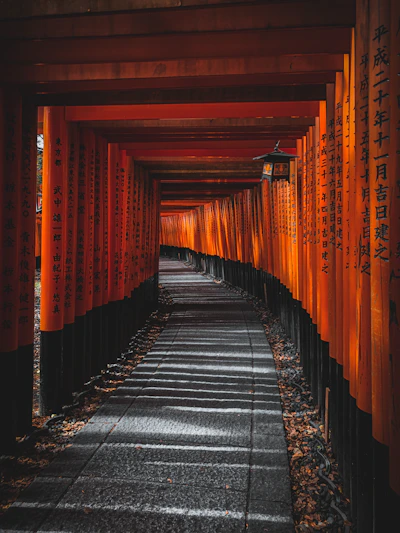 orange and black wooden posts