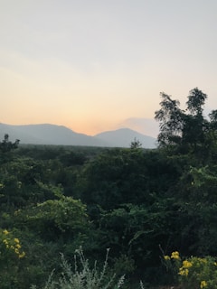 Scenic view of the lush green hills surrounding Padang Gelugur village at sunrise