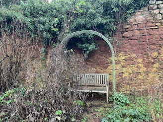 A cozy garden nook with a weathered bench surrounded by climbing vines.