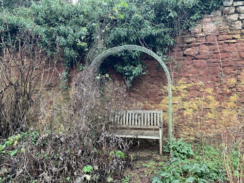 A cozy garden nook with a weathered bench surrounded by climbing vines.