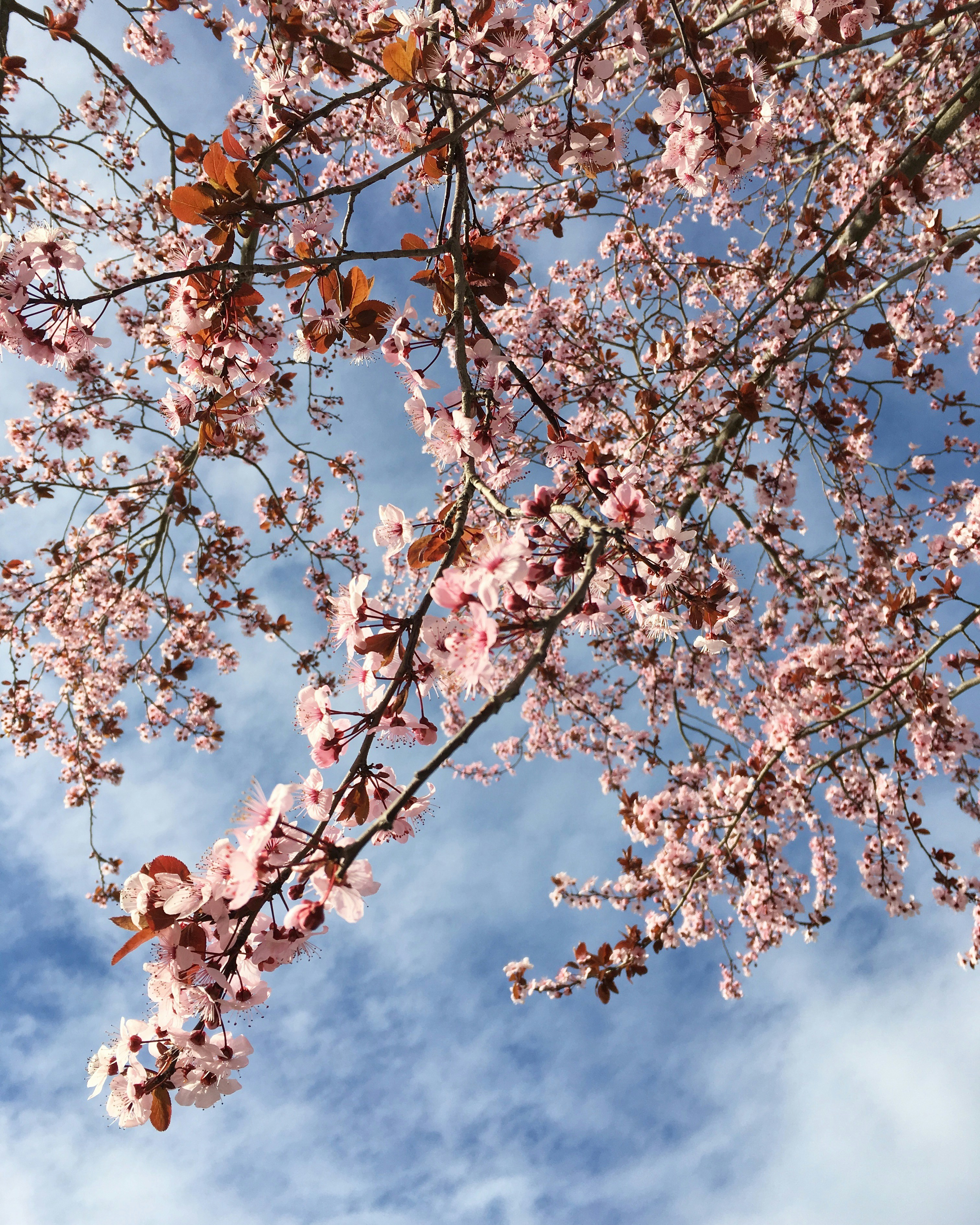 Photo by marionaprat