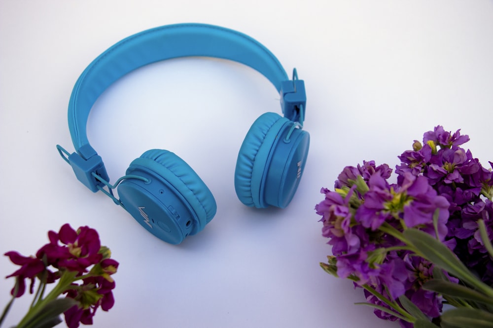 blue headphones beside pink flowers