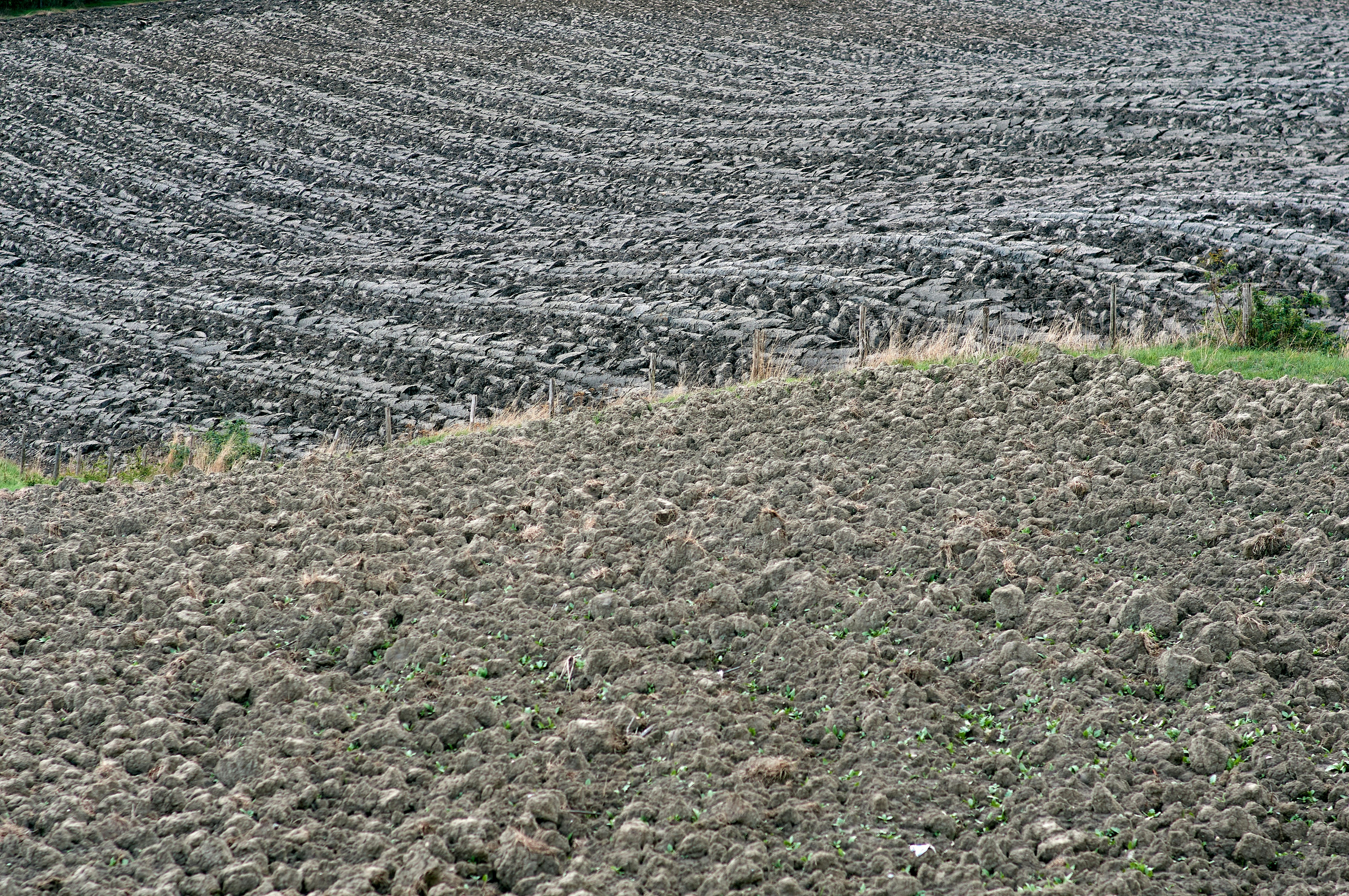 Premium Raw Land Deals