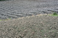 A freshly graded field with smooth, even soil ready for farming.