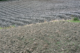 Close-up of fertile farmland ready for cultivation.