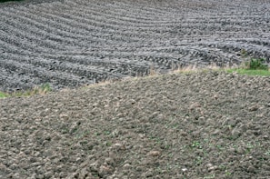 Wide view of freshly plowed agricultural land ready for planting