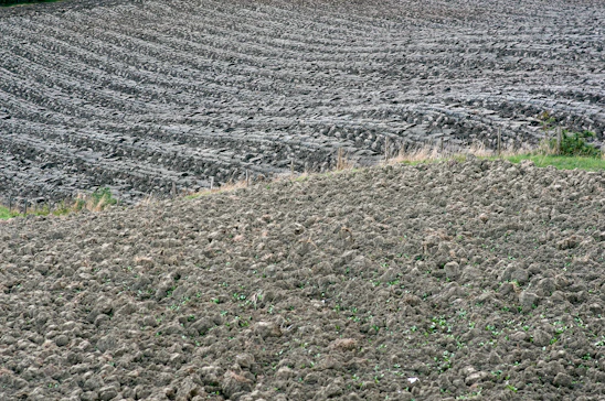 A close-up of rich, dark biochar being spread over vibrant green farmland under a clear sky.