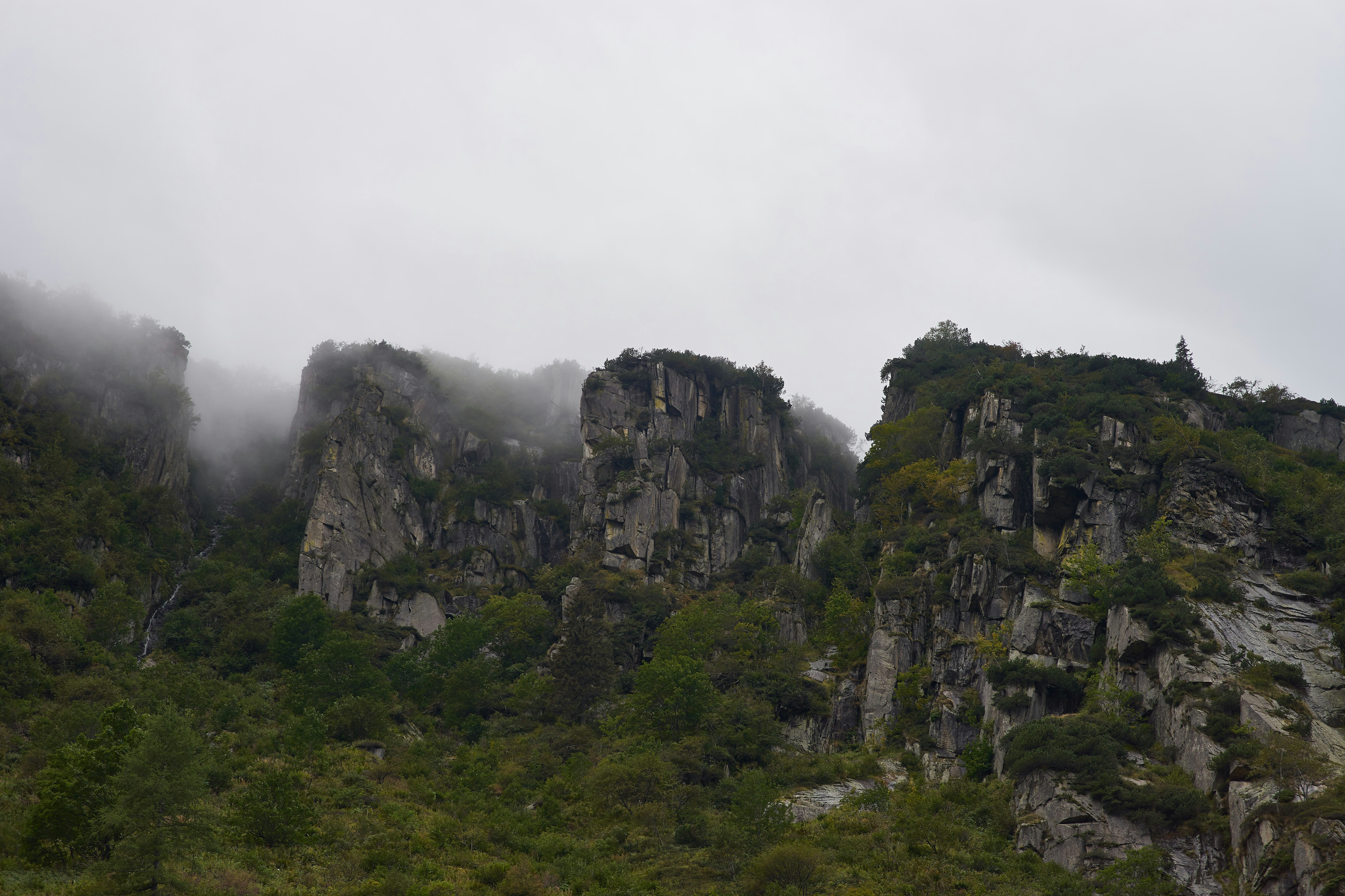 Photo by wolfgang_hasselmann