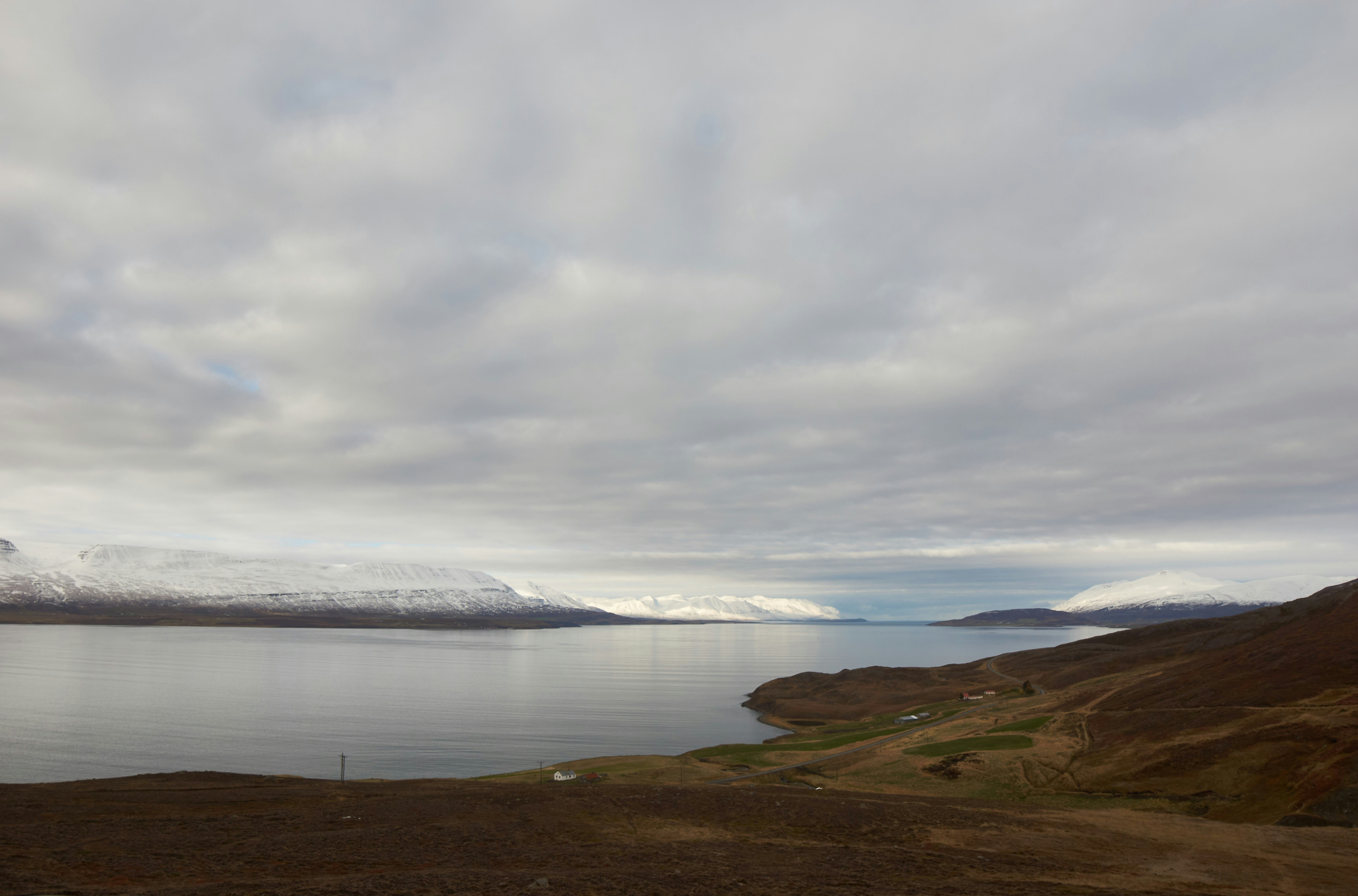 Photo by wolfgang_hasselmann