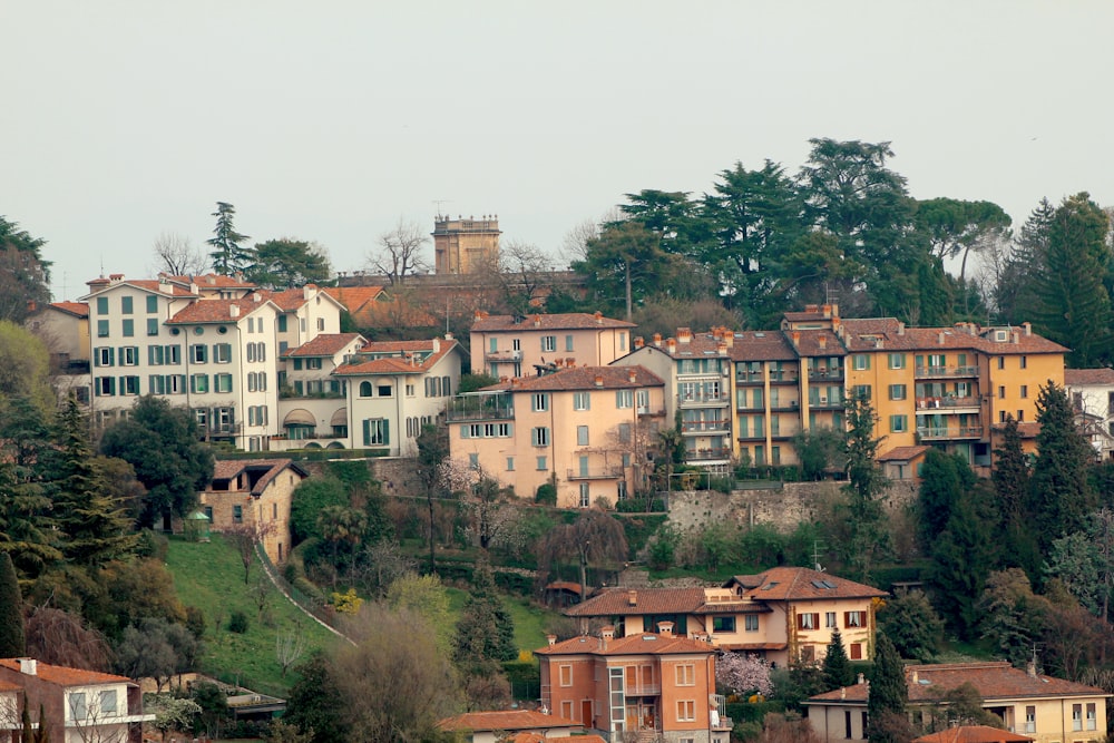 white and brown concrete building on hill