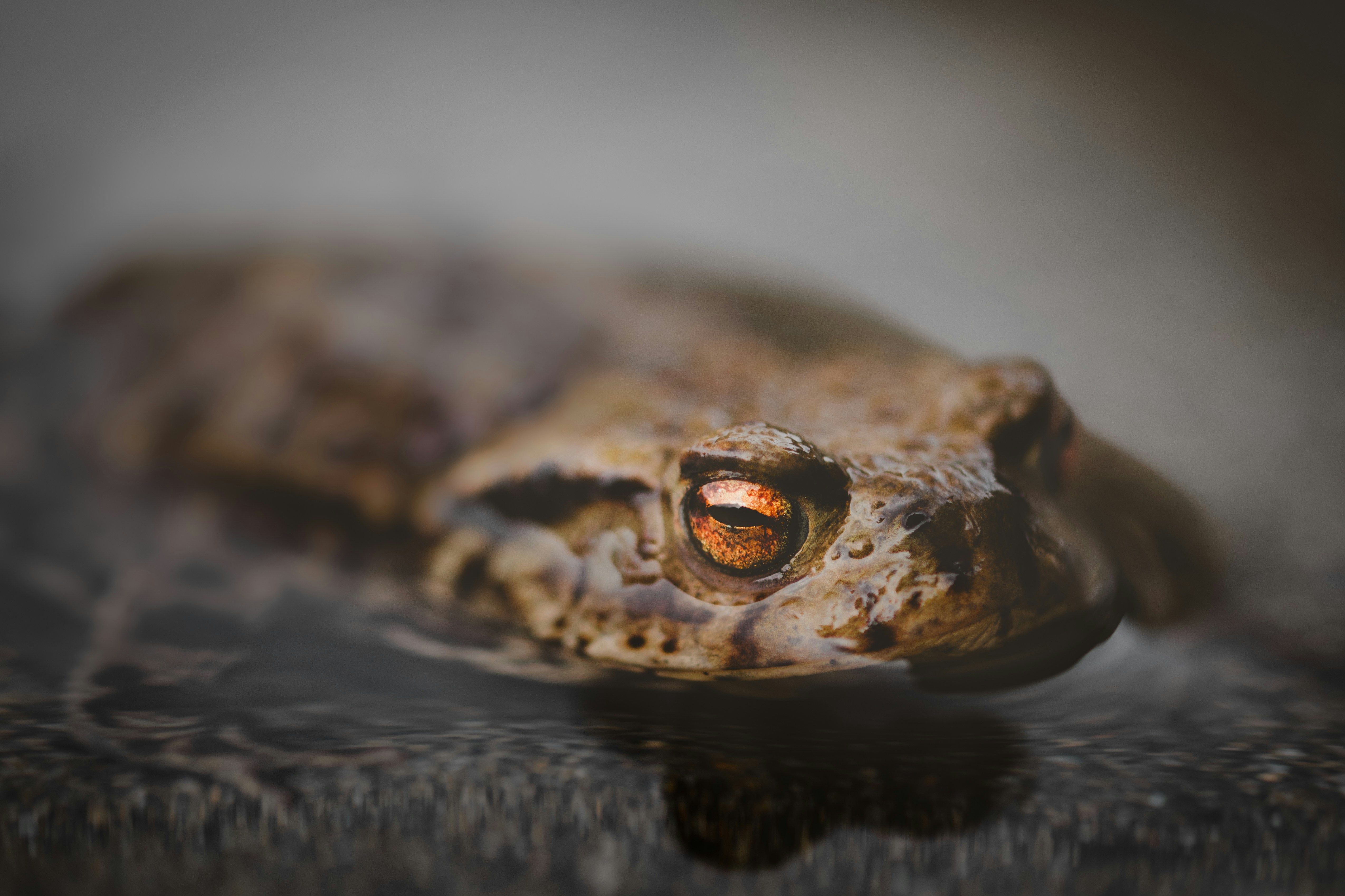 Photo by danielmorris