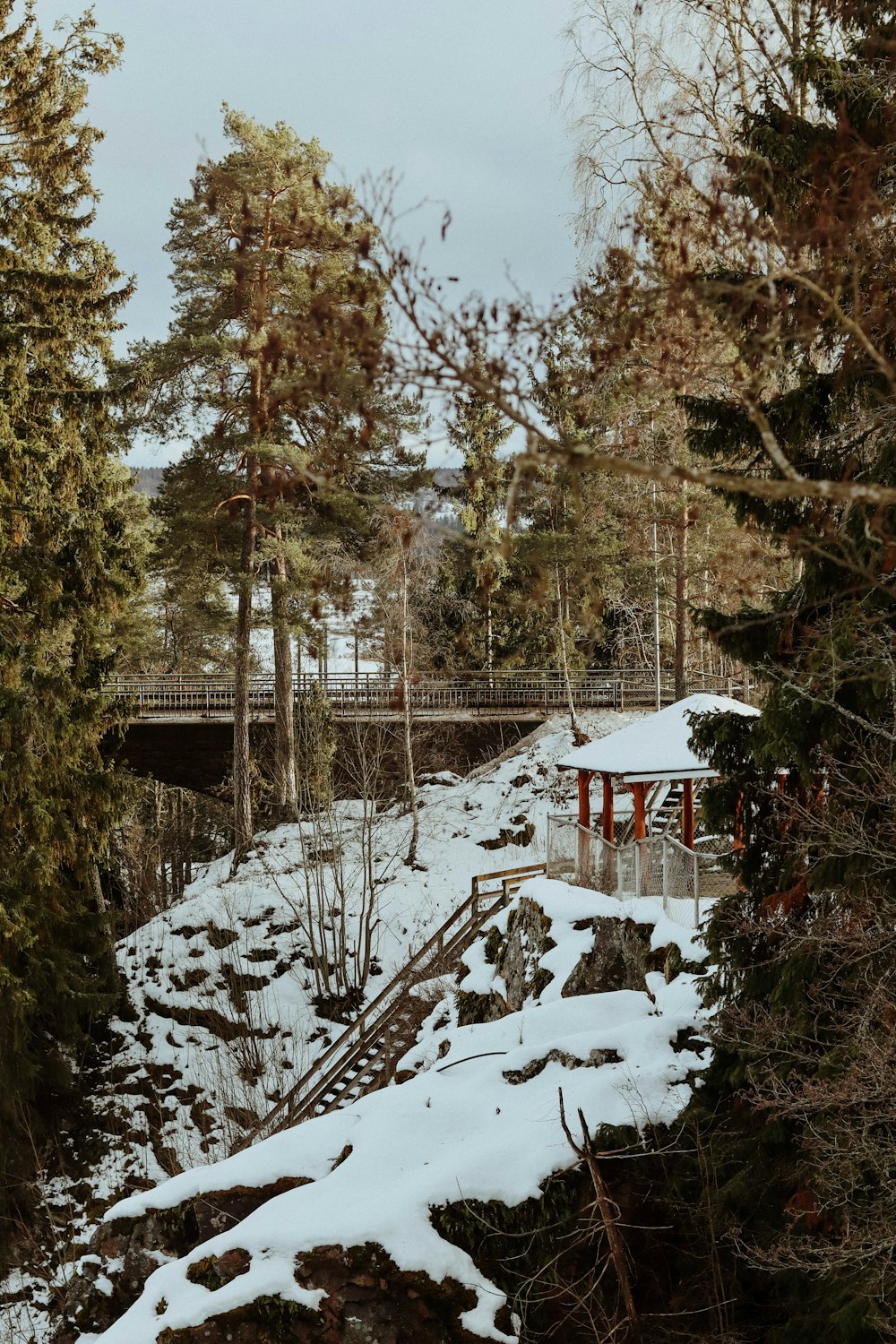 brown wooden house surrounded by trees covered with snow during daytime