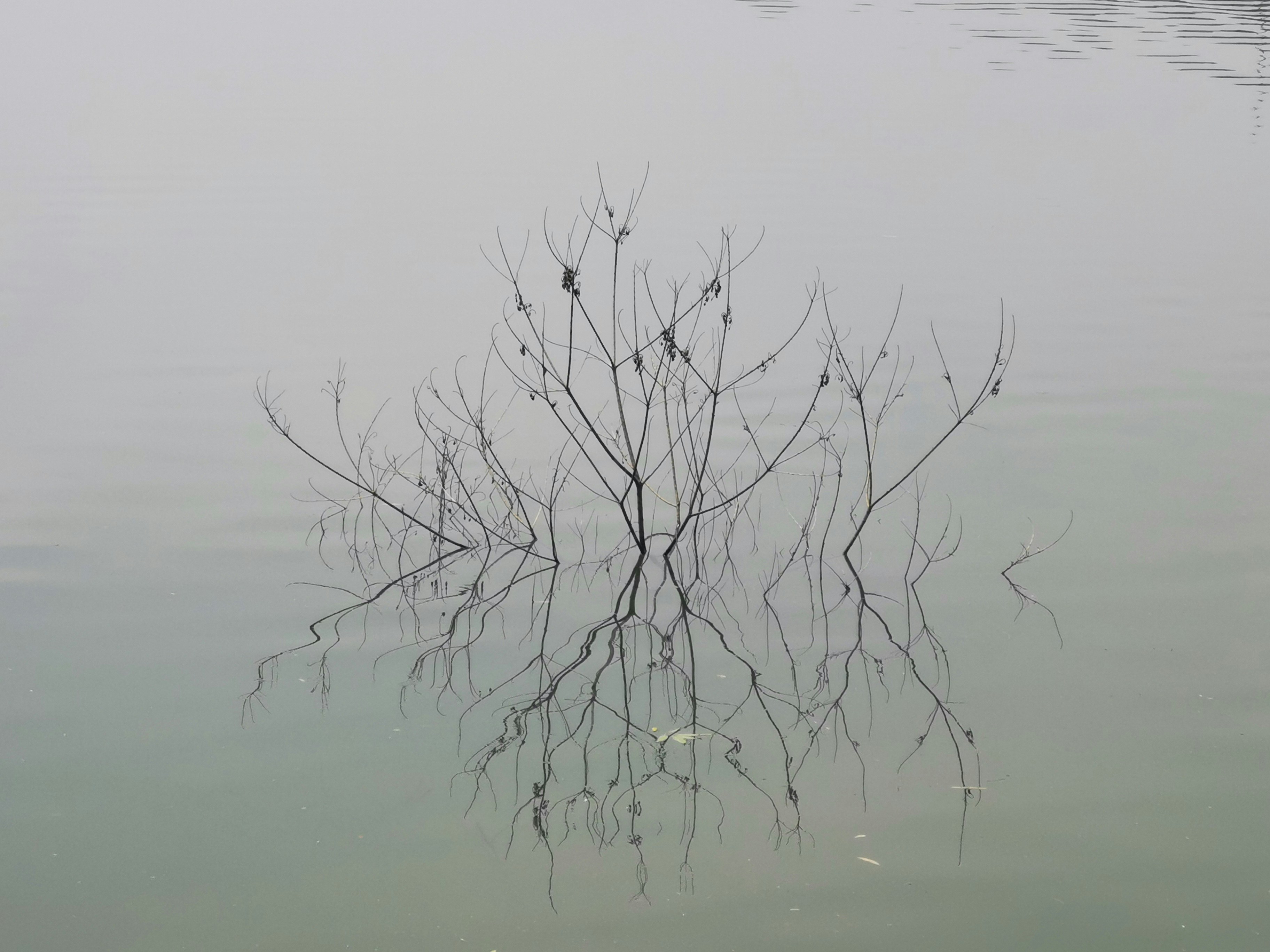 문광저수지 물안개 리플렉션 시간 관련 이미지2