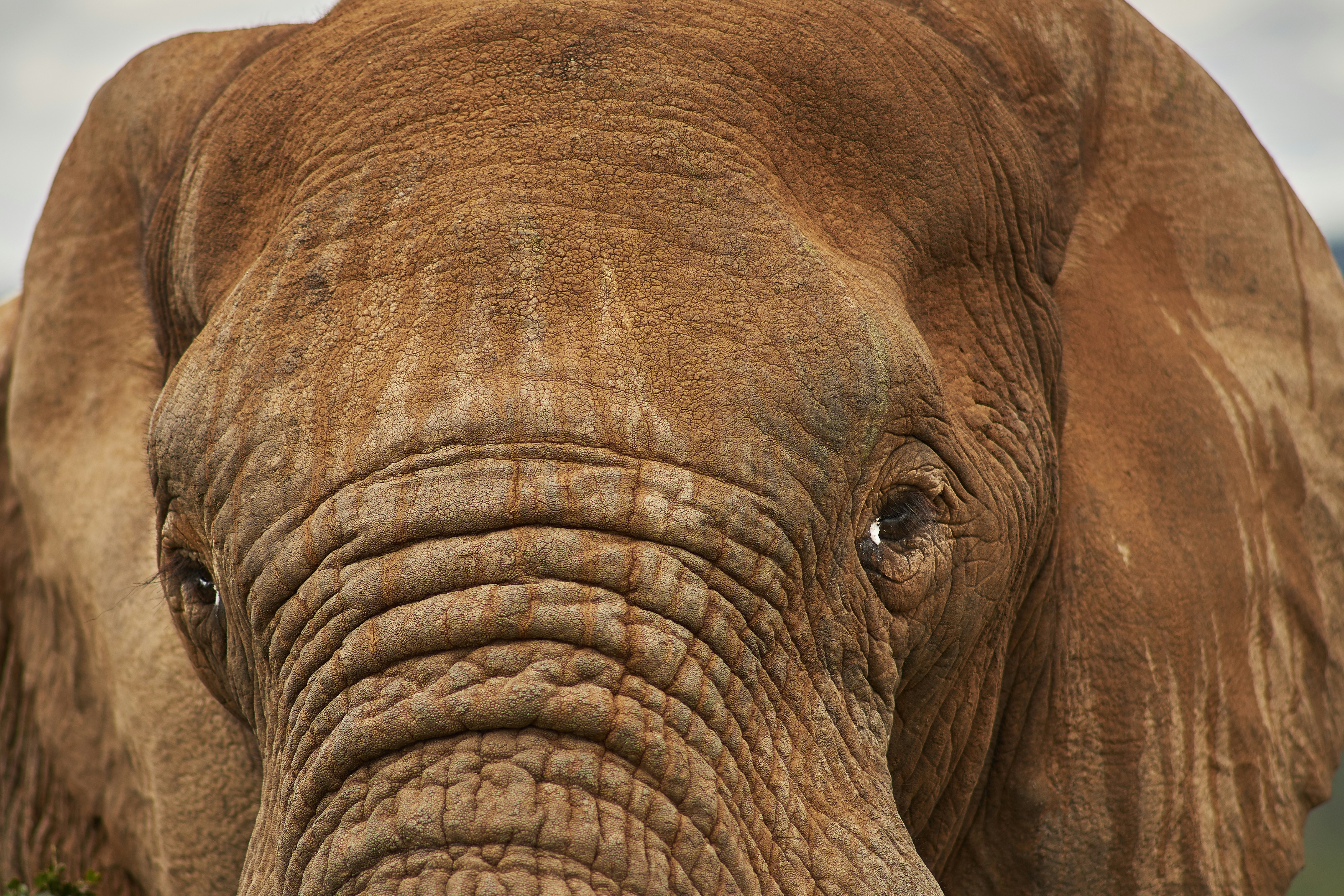 Photo by wolfgang_hasselmann