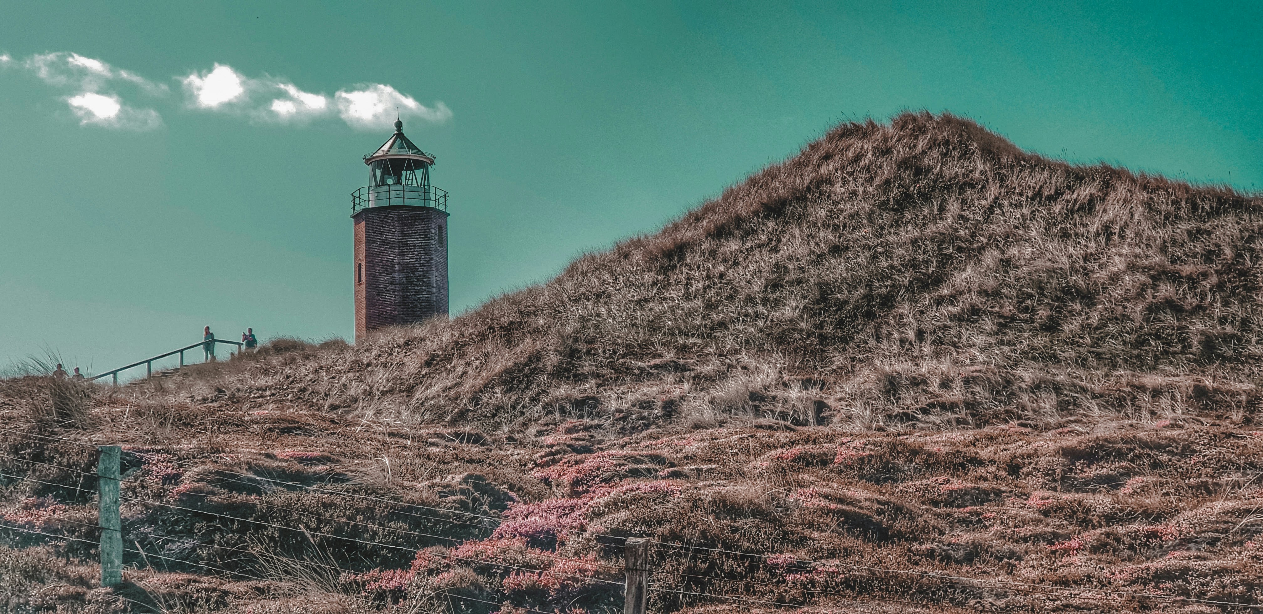 Braun-weißer Leuchtturm auf braunem Grasfeld unter blauem Himmel tagsüber
