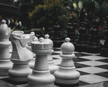 A giant outdoor chess set with large white and black chess pieces arranged on a black and white checkered board. The pieces include a knight, rook, bishop, and pawns. The background features lush green foliage and some flowers, adding to the outdoor garden setting.