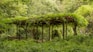 Close-up of a beautifully crafted wooden pergola surrounded by vibrant greenery.